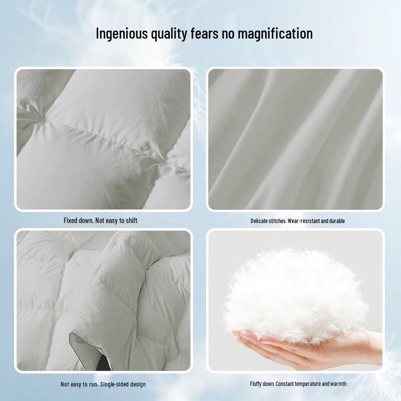 Ran Brand Premium Winter Duck Down Comforter