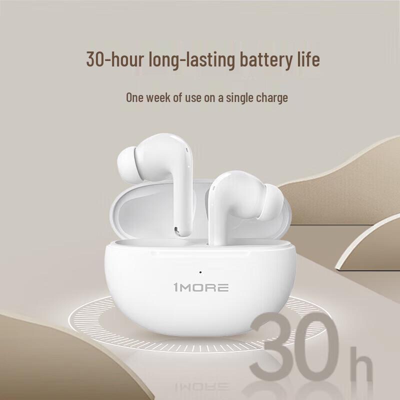 1MORE Q20 True Wireless ANC Earbuds