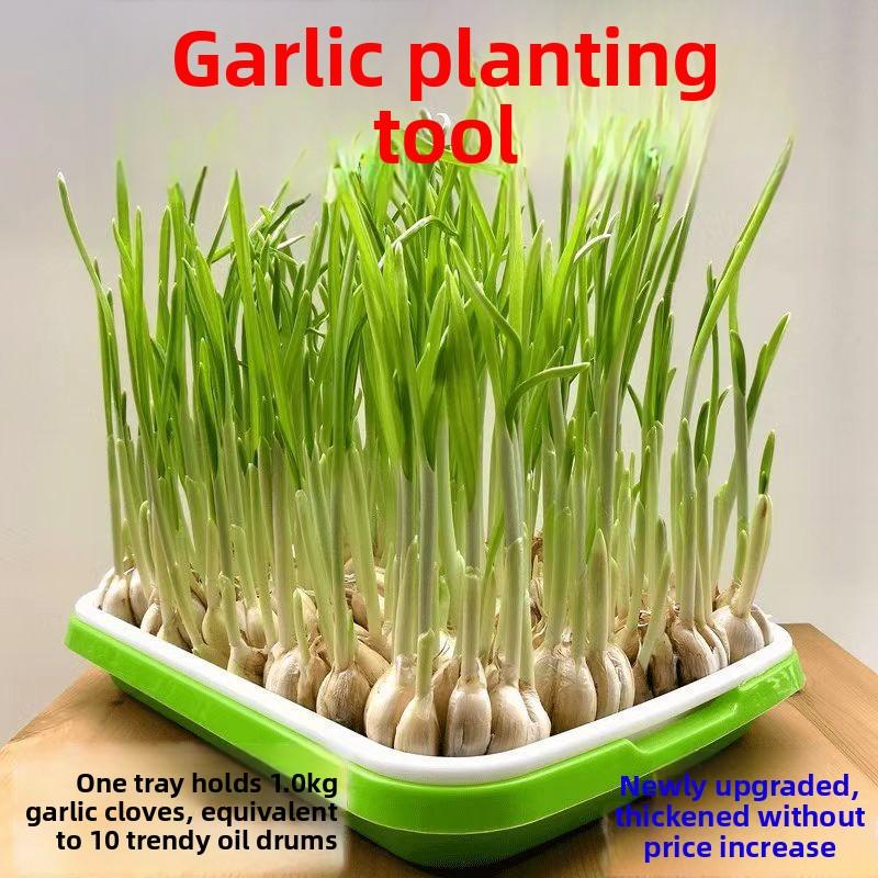 Balcony Garlic Planting Tray