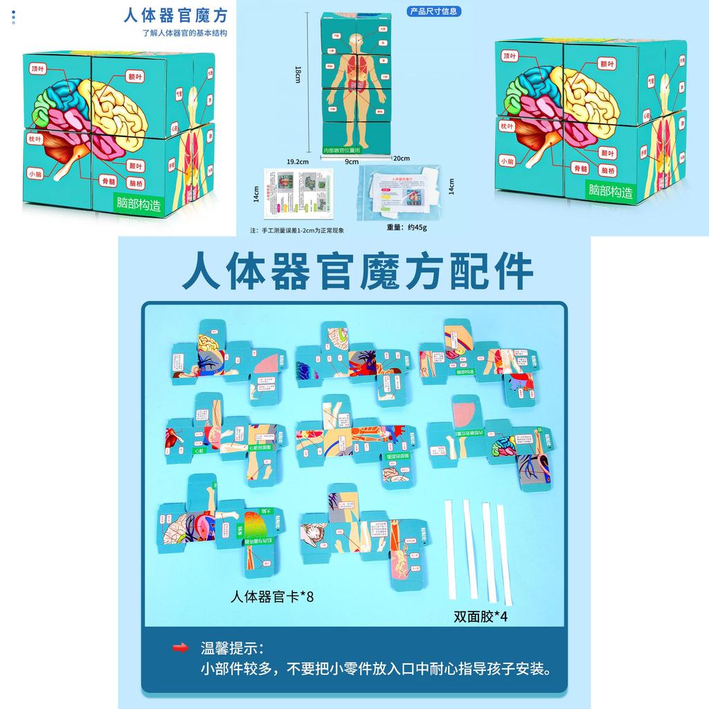 Science Experiment Human Body Organs Magic Cube For Students Educational Diy Toy