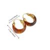 Pendant Vintage Women's Earrings Light Luxury Amber Ear Stud Amber Color Earrings  Party