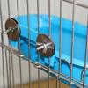 Screw Bird Bathtub for Parrots Birdcage Hanging Shower Basin Parrot Bathing Tray Cage Bathing Tub for Various Size Bird