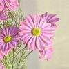 Artificial Flowers Simulation Chrysanthemum Realistic Appearance Faux Flowers Reusable No Maintenance No Fading Artificial Blooms for Living Room