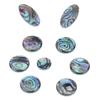 9Pcs Saxophone Key Button Smooth Surface Wear Resistant Inlays Accessory Abalone Shell Sax Key for Alto