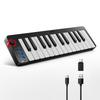 Donner MIDI Keyboard, 25 Keys, USB Controller, Mini Keyboard, Compact, Velocity Sensitive, Music Production, Japanese Instruction Manual, Black N-25