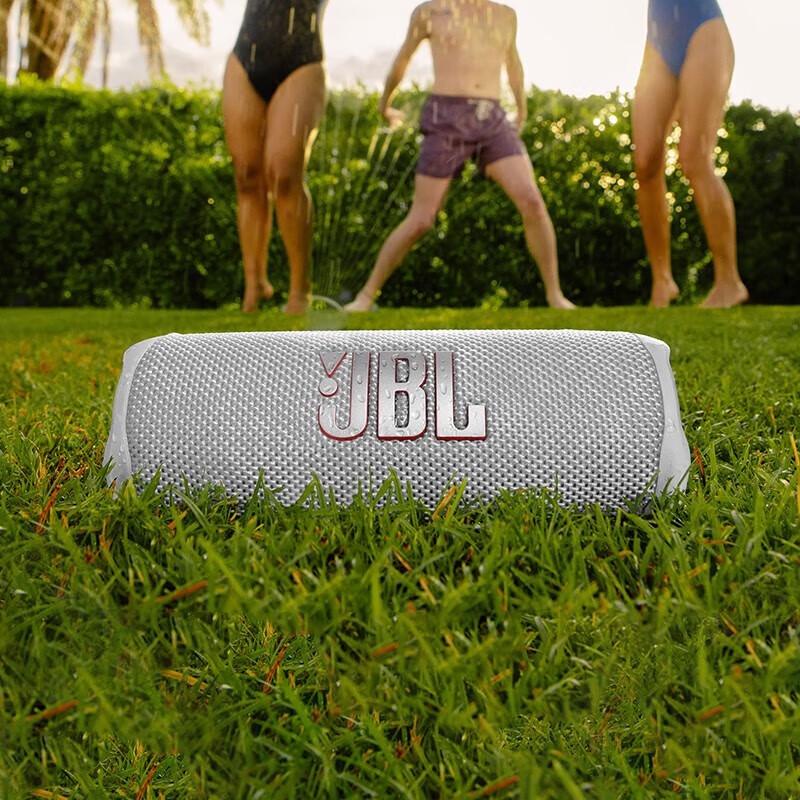 JBL FLIP 6 Portable Bluetooth Speaker CN plug (adapter included)