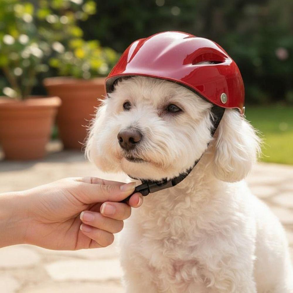 Oddychający Kask dla Zwierząt Regulowany Pasek Kask dla Kota Nowy Kask dla Psa Akcesoria dla Zwierząt