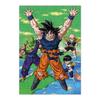 Casse-tête 98 pièces à collectionner dragon ball z 2 star ball