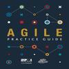 Agile Practice Guide Paperback