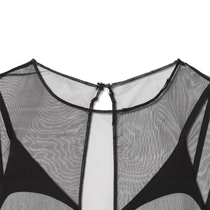 2025 Winter European & American Style Elegant Little Black See-through Dress