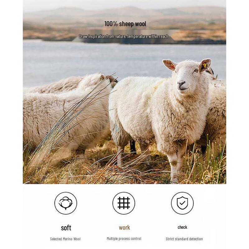 Demana Women's 100% Merino Wool Round Neck Cardigan