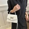 Elegant Fashion Lightweight Handbag For Women Summer 2024 With Bow Accent