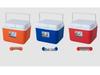 Portable Insulated Refrigerated Box for Home, Car, and Outdoor Use