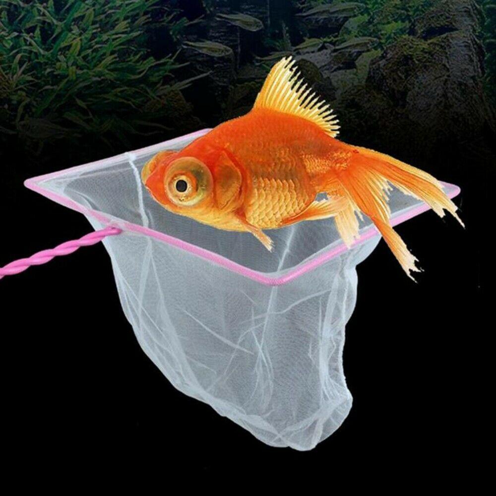 small fish tank net