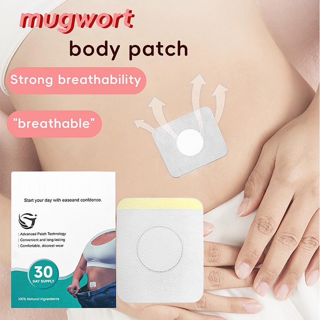 Mugwort Body Patches – Skin-Friendly Portable Care Pads, 30 Count
