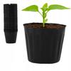 Gardenline 100 Doniczek Do Rozsad 60X45X58Mm Jaw9430