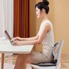 Jiancheng SC01 Ergonomic Lumbar Back Support Cushion