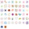 50 Transparent Cartoon Watercolor Firework Sticker Pack Waterproof Transparent PET Hand Account Decorative Guitar Notebook