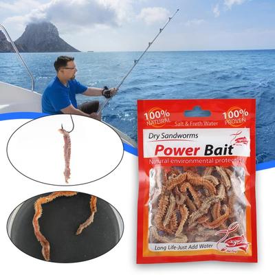10g Momeală Moale Artificială Vierme de Nisip pentru Pescuit Viermi Uscați Realistici Portabil Apă Sărată Apă Dulce Accesorii Pescuit Pescuit la Crap