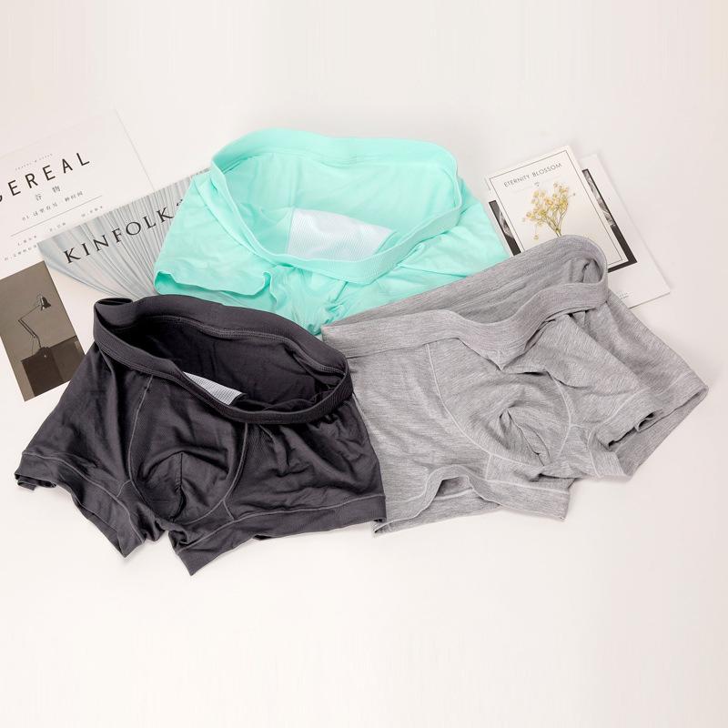 Panties for Man Underwear Sexy Breathable Soft Male Briefs Panty Sexy Transparent Men's Underpants