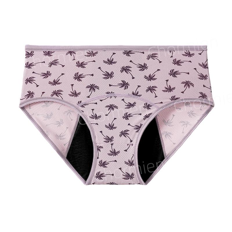 Hot-selling physiological pants in Europe and the United States, leak-proof medium and high waist ventilation holes before and after menstruation