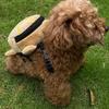 Pet Backpack Soft Turtle Shape Dog Backpack Portable Adjustable Dog Snack Bag Large Capacity Cartoon Pet Carrier Bag Outdoor