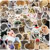 50pcs Funny Animals Cat Meme Stickers Cute Cartoon Decals Kids Toys Laptop Notebook Luggage Motorcycle Decoration Sticker