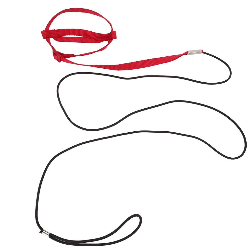 Bird Leash Bite Resistant Adjustable Parrot Flying Training Rope for Walking Attending PartyRed S