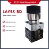 LAY5-BD Knob Switch