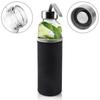 Glass Bottle for Drinks Water Juice Lemonade Cocktail Smoothie Bottle 0.49L