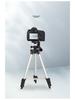 3110 Aluminum Alloy Silver Tripod for Mobile Phone Live Broadcasting, Fishing, and Thermometer Setup