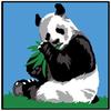 Sudan Children's Canvas Kit : Panda