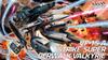 Hasegawa Super Dimension Fortress Do You Remember Gerwalk Valkyrie Scale Plastic Model Kit 26 Macross Love? VF-1S/A Strike/Super 1/72