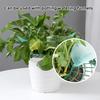 Strawberry Plant Support Reusable Strawberry Support Frame Strawberry Growing Frame Keeps Berries Clean And Off The Ground for Healthy Growth