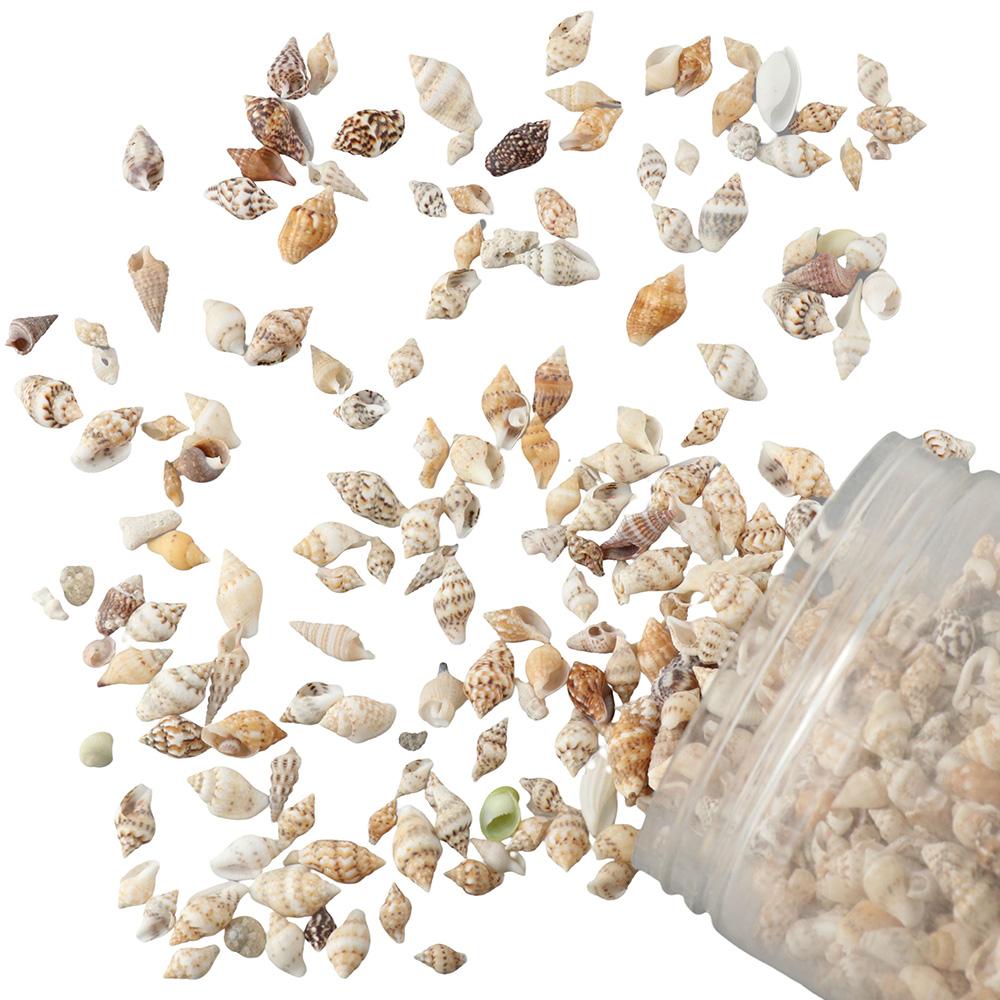 1500 szt. spiralnych muszelek morskich 1500 szt. zawieszek rzemieślniczych mieszanych muszelek morskich impreza tematyczna na plażę