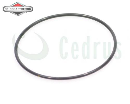

Float Chamber Seal B&S Intek V-Twin Series 7000 8000 Original Part 690994
