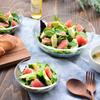 Toyo Sasaki Glass Alpha Bowl 12 Plates, Set of 6, Made in Japan, Dishwasher Safe, Glass Plates, Round Plates, Dishware, Dishes, Tableware, P-19303