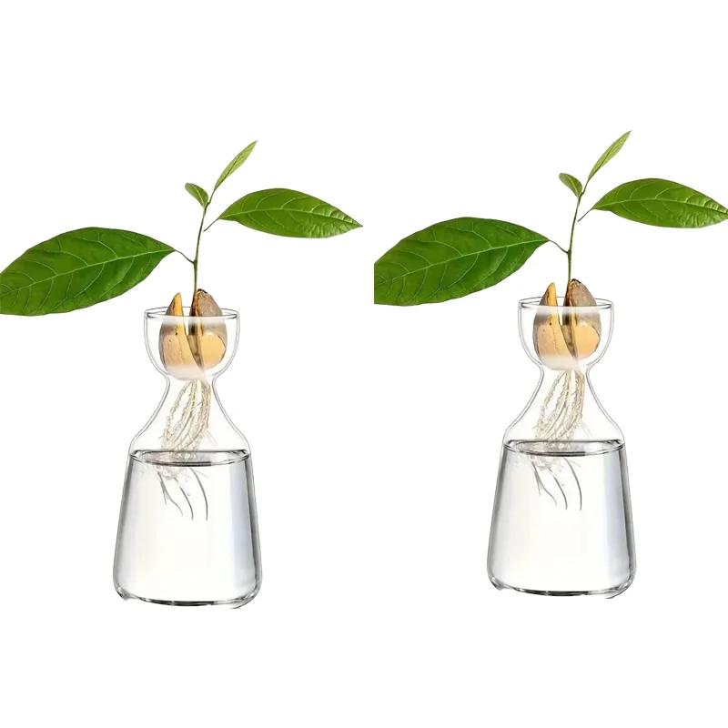 Kit per la Coltivazione dell'Avocado - Vaso Germinatore in Vetro per Amanti del Giardinaggio, Unico Fioriera Idroponica Regalo