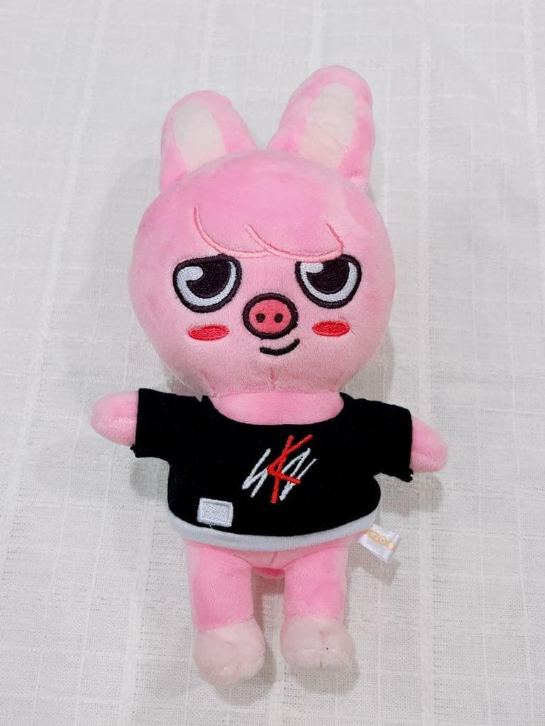 [USED] Original SKZOO Plush Toy Changbin