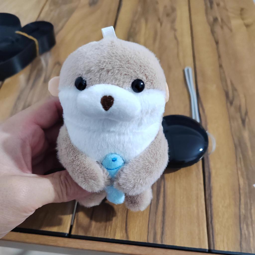 Peluche Kawaii Lontra che tiene il Pesce Portachiavi Leggero Ciondolo da Appendere Accessori per Zaino Scolastico Portachiavi Giocattolo Portachiavi Regali
