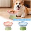 Flower Shape Pet Bowl Ceramic Raised Slow Feeder Dog Bowl 15 Degree Tilted Cat Bowl Cute 150ml Pet Water Dispenser Pet Supplies