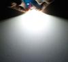 Isaac Import T10 1.2 inches (31 mm) Room Lamp, 30 Minutes Auto Off Timer