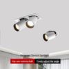 Adjustable Ra98 Telescopic Spotlight - Recessed & Foldable Gooseneck Light