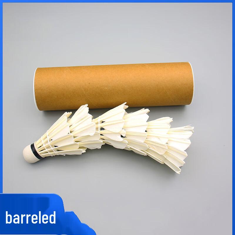 Xulin Foam Head Training Shuttlecocks (6-Pack)