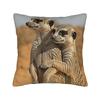 Pillow Case Adult Meerkat Holding Baby Meerkat Comfy  Pillow Cover For Sofa Car Home Decor Vintage Pillowcases
