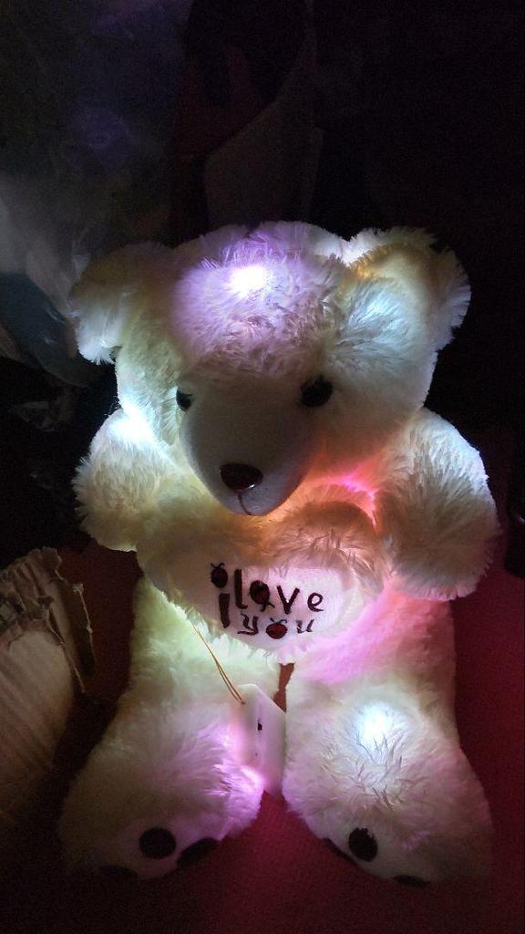 [USED] Colorful Glowing Teddy Bear