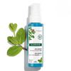 Anti-Oxidant Serum with Aqua Mint 100mL