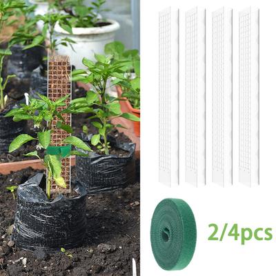 2/4 Stück Pflanzen Moosstange Kunststoffstütze Transparent Wiederverwendbar Innen Topfpflanzenstäbe Kletterpflanzen nach oben wachsen lassen Für Garten