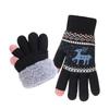 Fleece Lining Winter Gloves Thickened Knitted Gloves Fashion Warm Gloves  Women Men