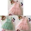 Princess Girl Summer Dress With Embroidered Flowers For Toddlers